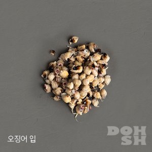 [DOHSH] 오징어 입 (330g)
